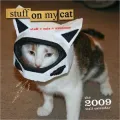 Stuff on My Cat 2009 Wall Calendar