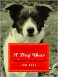 A Dog Year: Rescuing Devon, the Most Troublesome Dog in the World