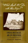 What Shall We Do with the Negro?: Lincoln, White Racism, and Civil War America