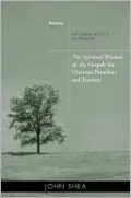 The Spiritual Wisdom of the Gospels for Christian Preachers and Teachers: On Earth as It Is in Heaven