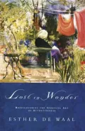 Lost in Wonder: The Spiritual Art of Attentiveness