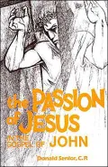 The Passion of Jesus in the Gospel of John