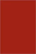 People And Politics In Urban America, Second Edition