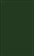 Divided Loyalities