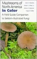 Mushrooms of North America in Color: A Field Guide Companion to Seldom-Illustrated Fungi