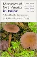 Mushrooms of North America in Color: A Field Guide Companion to Seldom-Illustrated Fungi