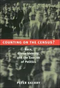 Counting on the Census? : Race, Group Identity and the Evasion of Politics