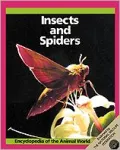 Insects and Spiders