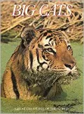 Big Cats