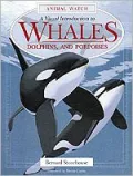 Whales : A Visual Introduction to Whales, Dolphins and Porpoises