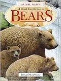 A Visual Introduction to Bears