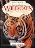 Wild Cats
