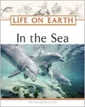 In the Sea