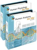 Human Body on File