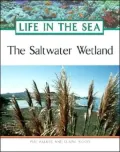 Saltwater Wetland