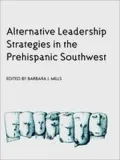 Alternative Leadership Strategies
