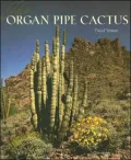 Organ Pipe Cactus
