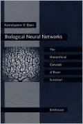 Biological Neural Networks: New Concepts of Structure and Organization