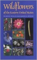 Wildflowers of the Eastern United States, Vol. 20
