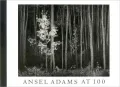 Ansel Adams at 100
