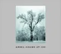 Ansel Adams at 100