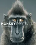 Monkey Portraits