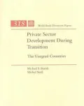 Private Sector Development During Transition : The Visegrad Countries