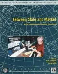 Between State and Market : Mass Privatization in Transition Economies