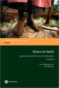 Revisiting the Role of Agriculture in Poverty Reduction in Sub-Saharan Africa
