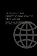Developing the Domestic Government Debt Market: From Diagnostics to Reform Implementation