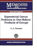 Exponentional Genus Problems in One-Reactor Products of Groups, Vol. 873