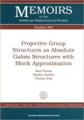 Projective Group Structures As Absolute Galois Structures with Block Approximation