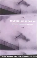 Television after TV: Essays on a Medium in Transition