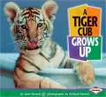 A Tiger Cub Grows Up (Baby Animals Series)