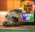 A Harbor Seal Pup Grows Up