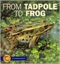From Tadpole to Frog