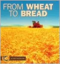 From Wheat to Bread (Start to Finish Series)