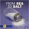 From Sea to Salt (Start to Finish Series)