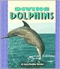 Diving Dolphins