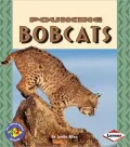 Pouncing Bobcats