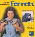 My Pet Ferrets