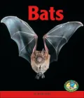 Bats