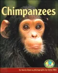 Chimpanzees (Early Bird Nature Books Series)