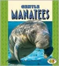 Gentle Manatees