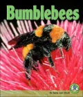 Bumblebees