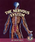 The Nervous System