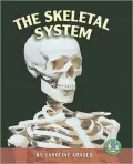 The Skeletal System