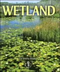 Wetland