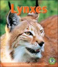 Lynxes