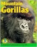 Mountain Gorillas